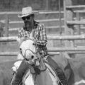 Your horse is not a motorcycle Your horse is not a motorcycle