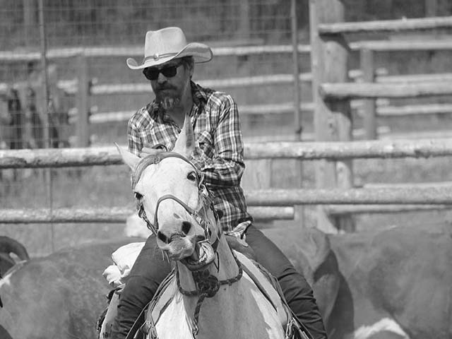 Your horse is not a motorcycle